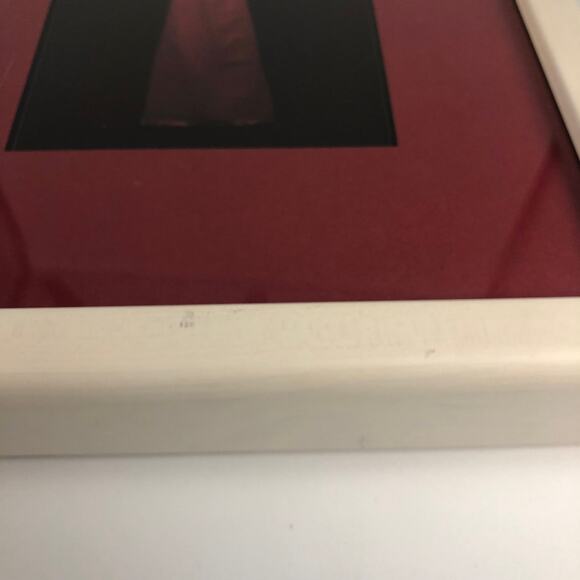 William Wegman Weimeraner Art Print "Devil Dog" Professionally Framed 11x9" - Picture 4 of 11